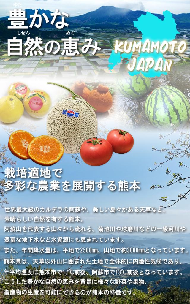果物 送料無料