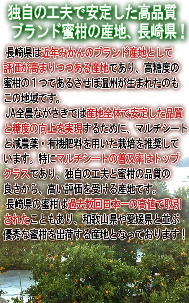 長崎 フルーツ