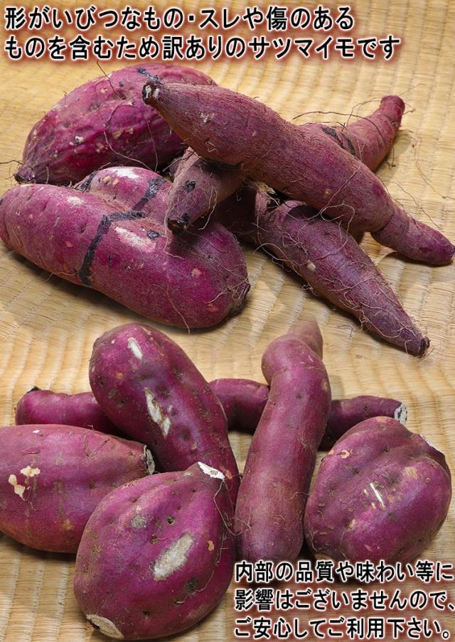 薩摩芋 甘藷