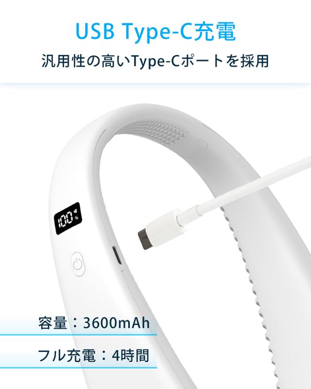 ハンディファン