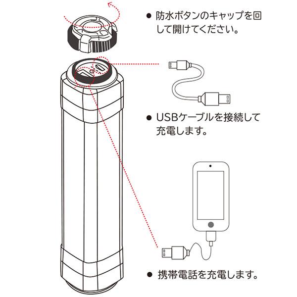 充電・放電方法