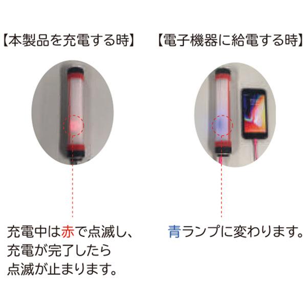 充電・放電方法