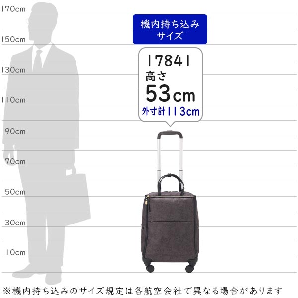 サイズイメージ