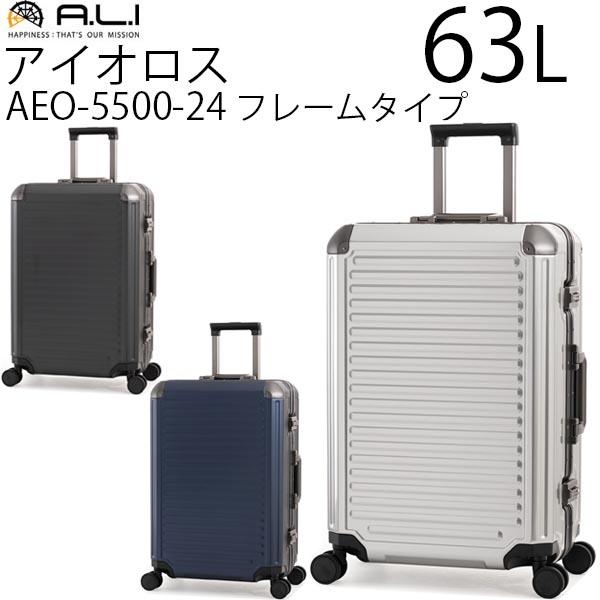 AEO-5500-24