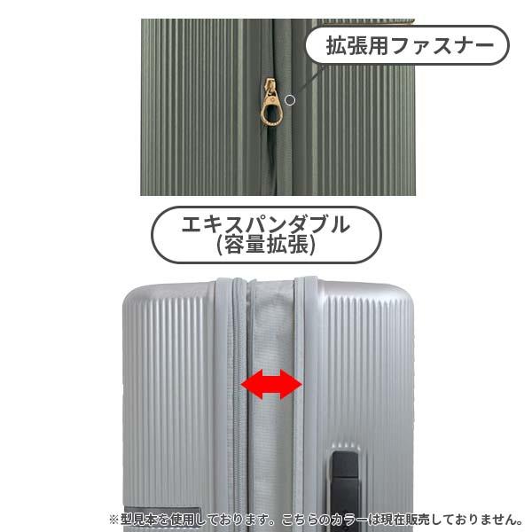 エキスパンダブル