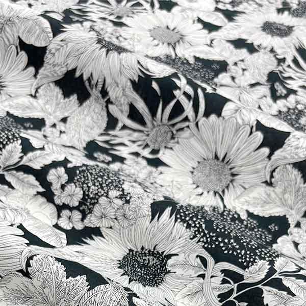 ブラック(スイム・ダンクレア)