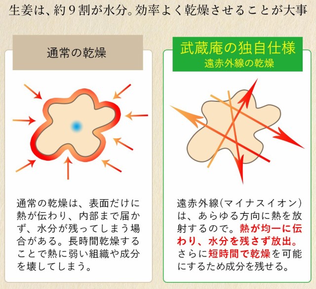 送料無料 武蔵庵 遠赤乾燥生姜粉末 80g 無添加 無着色 メール便発送 代