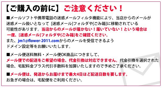 在庫定番 ケトチェンジャー 3個セット 送料無料/サプリメント ダイエット 美容 健康の通販はau PAY マーケット - JM|商品ロットナンバー:430029694 正規品