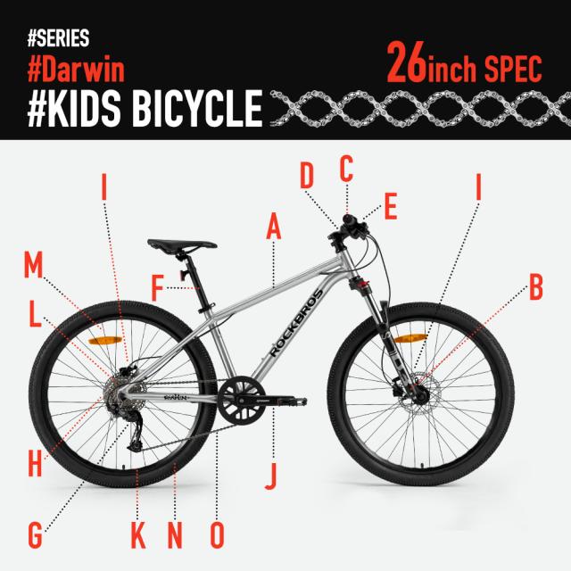 Darwin 26inch