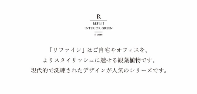 最安値得価 観葉植物 フェイクグリーン 人工観葉植物 イエローアガベ アガベ 造花 おしゃれ ツリー 店舗装飾 中型 フェイク グリーン インテリア 120の通販はau PAY マーケット - 恵月人形本舗|商品ロッ 人気HOT