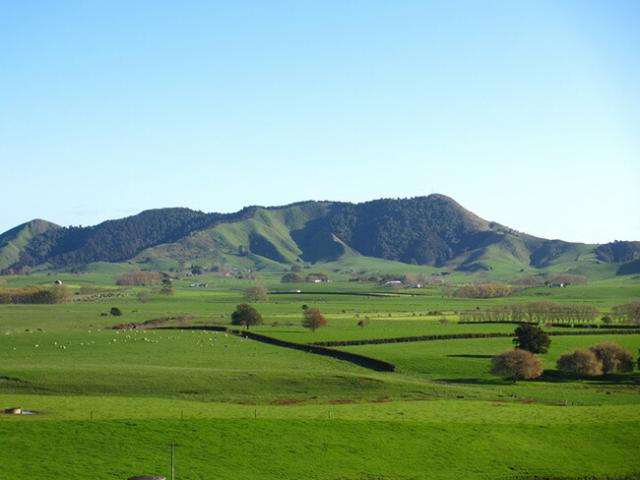 ジウィピーク/ziwipeak