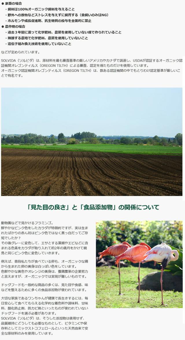 ソルビダ SOLVIDA グレインフリー