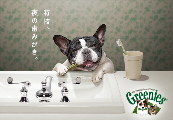 グリニーズ/greenies（犬用おやつ）