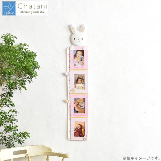 茶谷産業 輸入 Bambini 身長計フレーム 849 6 うさぎ
