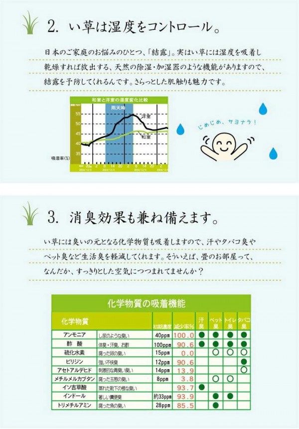 純国産 い草花ござカーペット 『カイン』 ブルー 江戸間6畳(約261