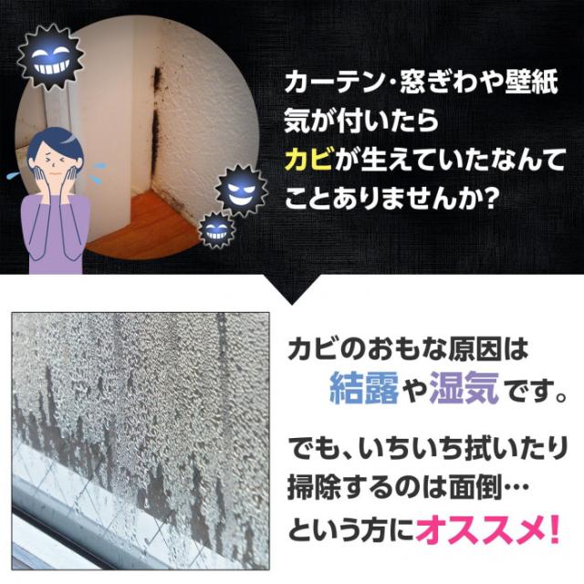 結露、湿気が原因のカビに