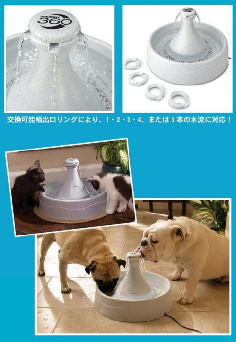 ンラインプ 犬猫 ペットセーフ ドリンクウェル 360 ペの通販はau PAY マーケット - コムネット au PAY マーケット ドリンクウェル ペット用品 水飲み器 ペットファウンテン 自動 給水器 大容量 PetSafe Japan きるため