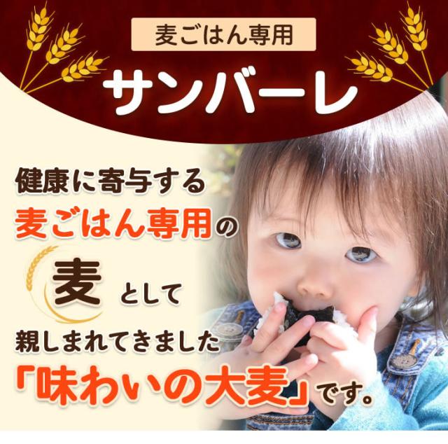 麦ごはん専用 サンバーレ