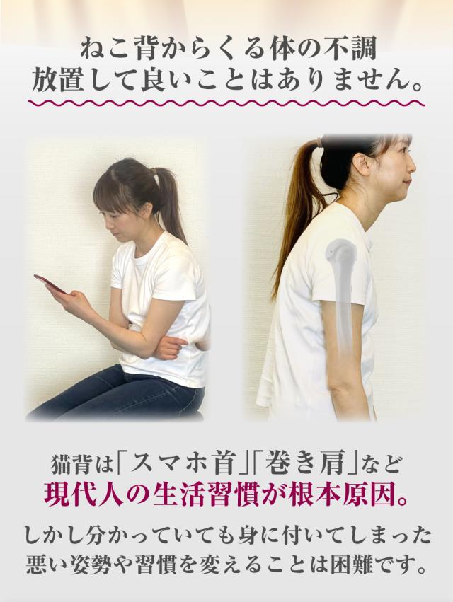 猫背矯正 悩み解決