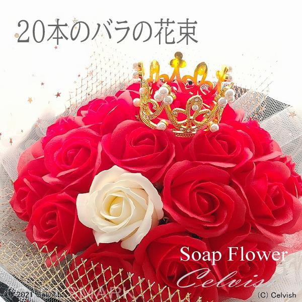 c-sop-bara20-1.jpg c-sop-bara20-1.jpg