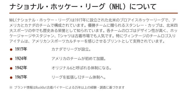 NHL(アイスホッケー)の歩み
