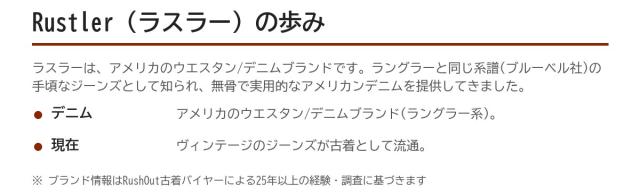 Rustler(ラスラー)の歩み