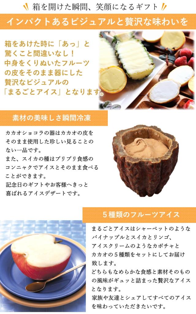 インパクトのあるビジュアル