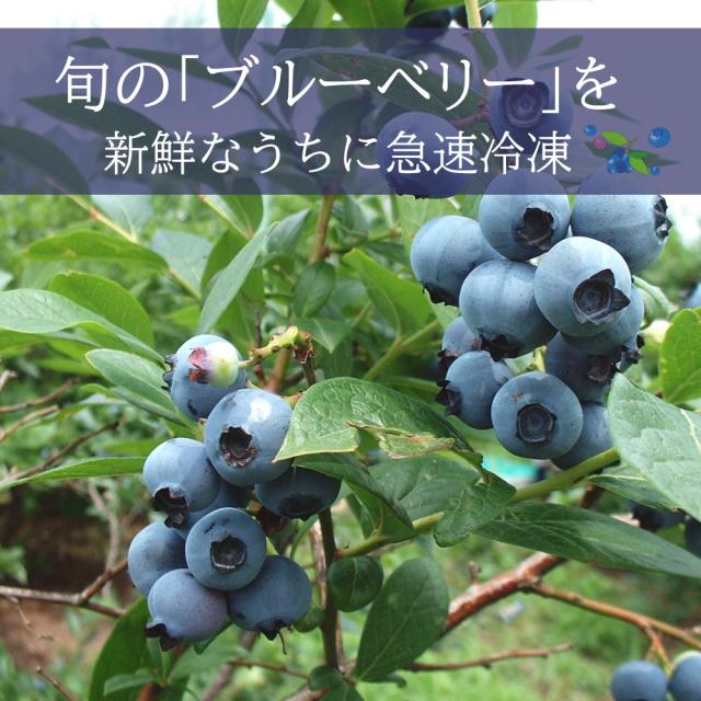 旬のイチゴ