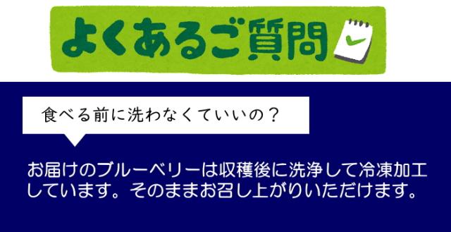 ブルーベリーはそのままOK