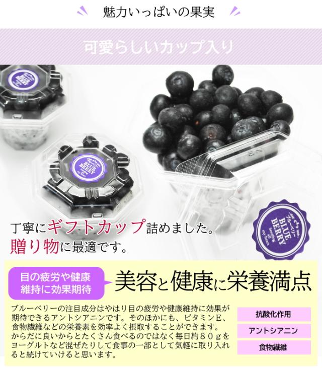 ブルーベリー