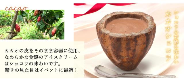 カカオ