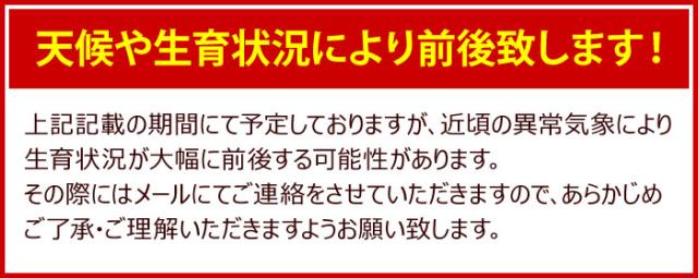 前後いたします