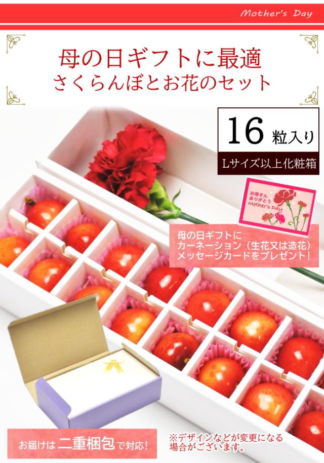 お届けイメージ