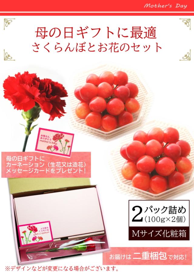 お届けイメージ