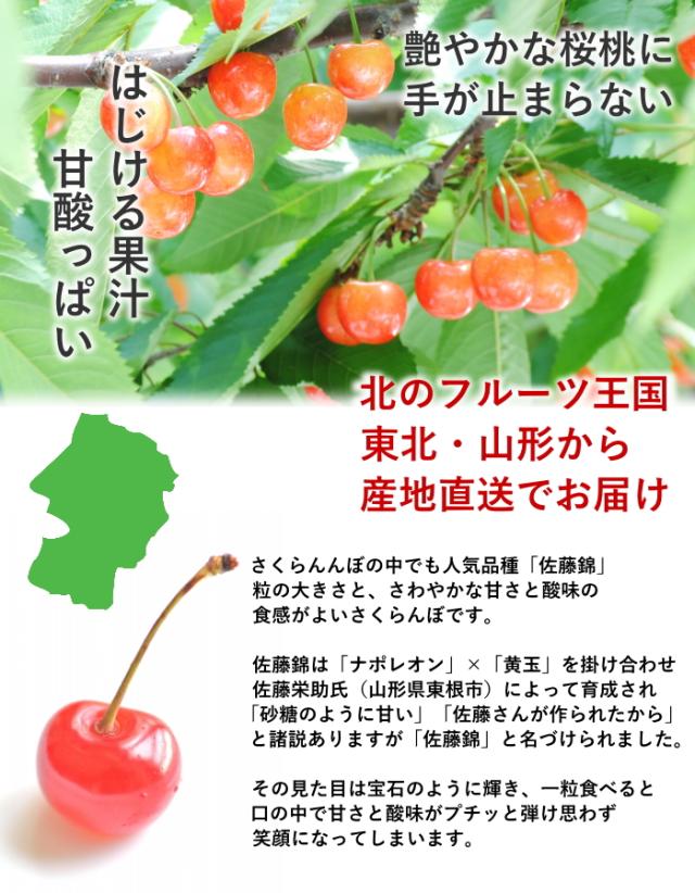 山形県産さくらんぼ佐藤錦
