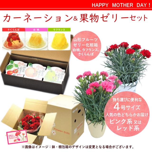 お届けイメージ