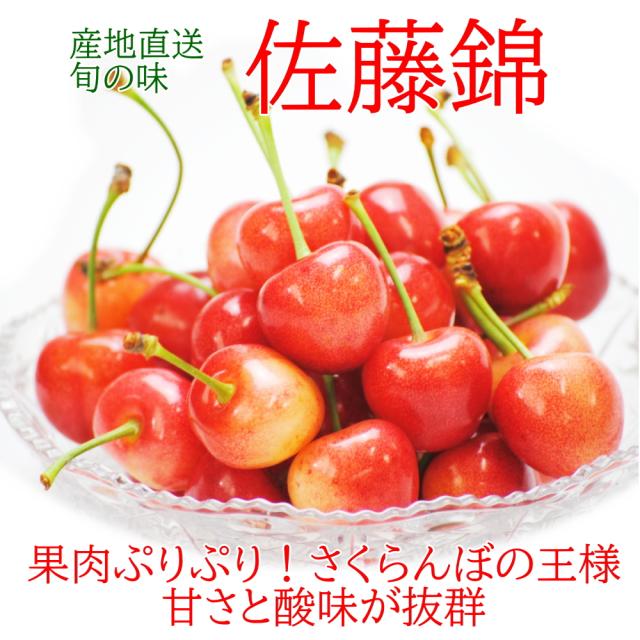 旬の露地栽培さくらんぼ佐藤錦