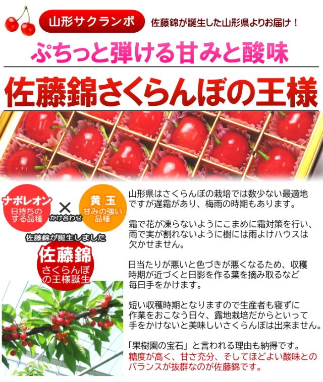 プチッと弾ける