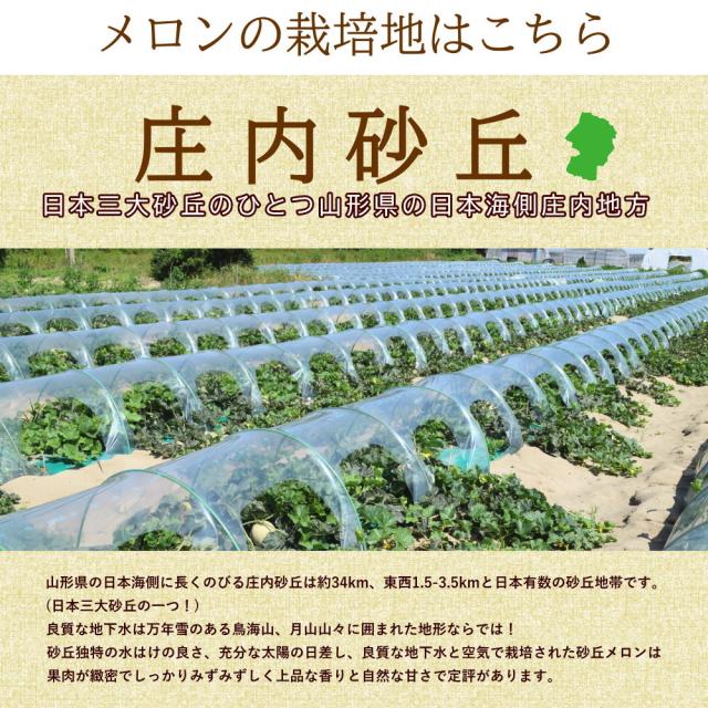 メロンの栽培地