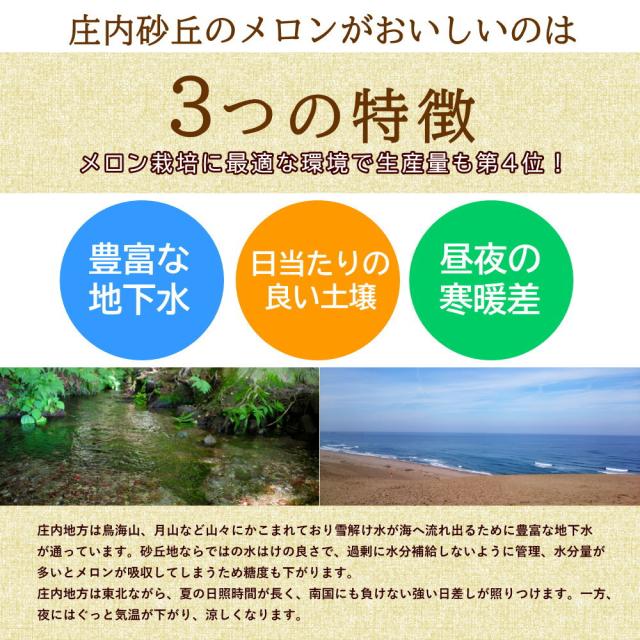 3つの特徴