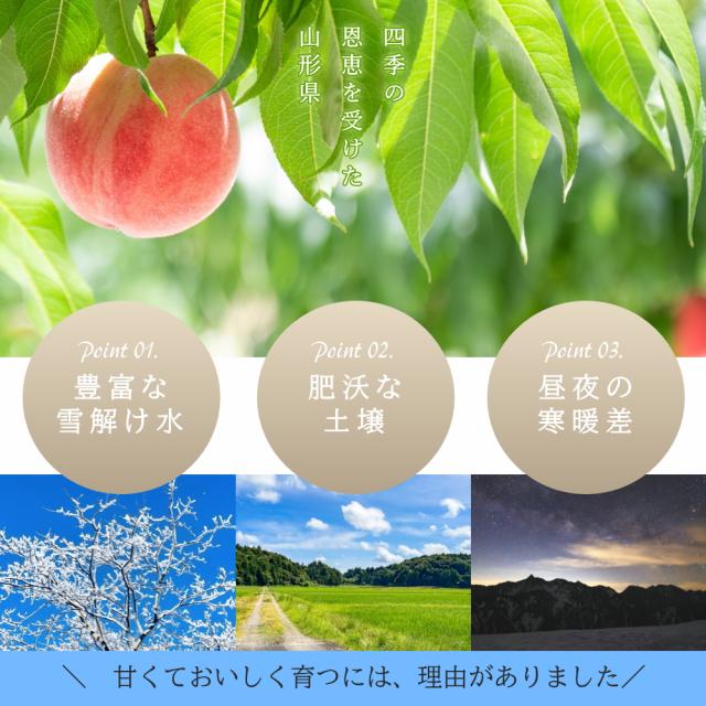 山形県産