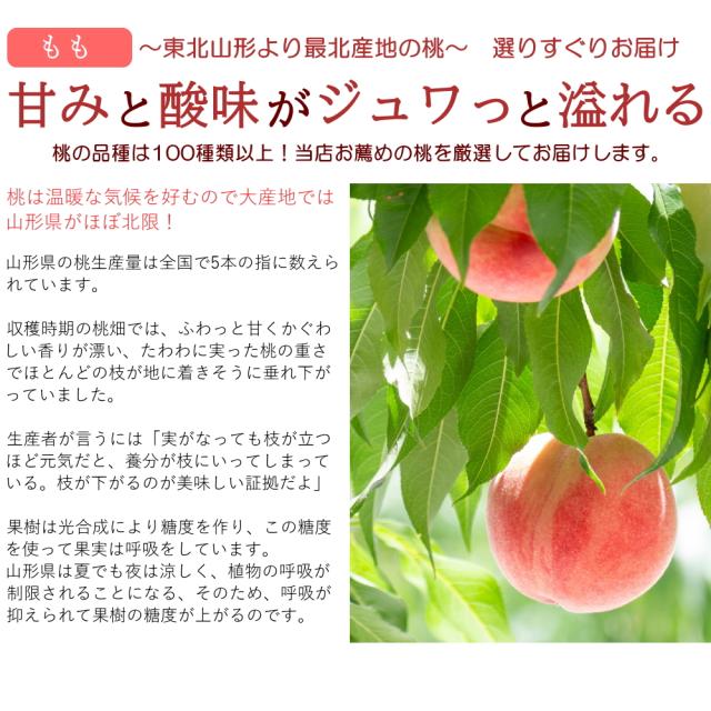 甘みと酸味