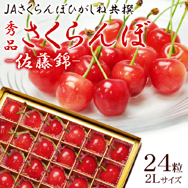 露地栽培 チョコ箱 24粒 2Lサイズ