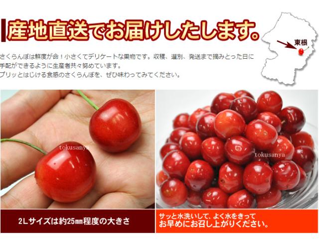 産地直送でお届け致します