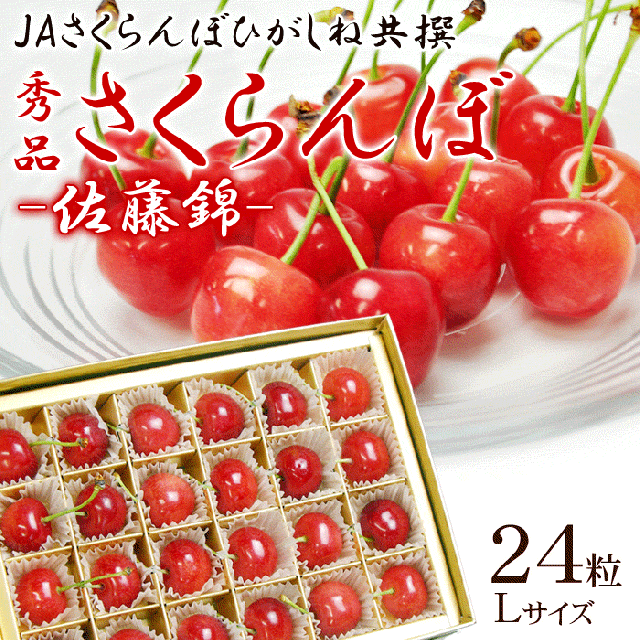 露地栽培 チョコ箱 24粒 Lサイズ