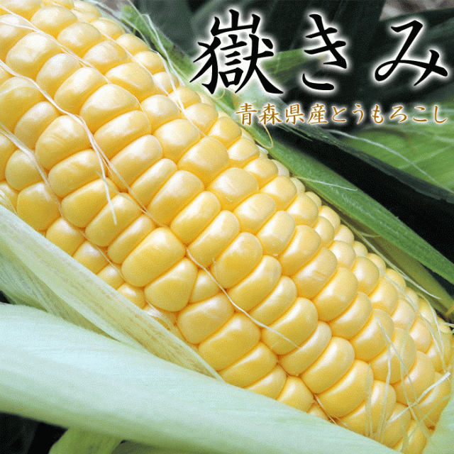 嶽きみ とうもろこし 青森直送