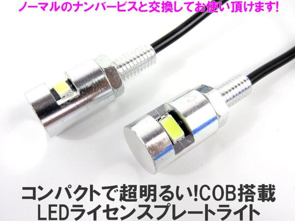 LEDナンバーボルト