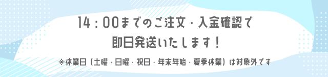 【20%OFF!!】 オーシャンパシフィック レディース 水着 セパレート タンキニ レギンス リブ素材 《レビュー記入で送料無料》 体型カバー 3点 セット カップ付き 20代 30代 40代 マリン ママ お洒落 おしゃれ かわいい カジュアル : Ocean Pacific OP