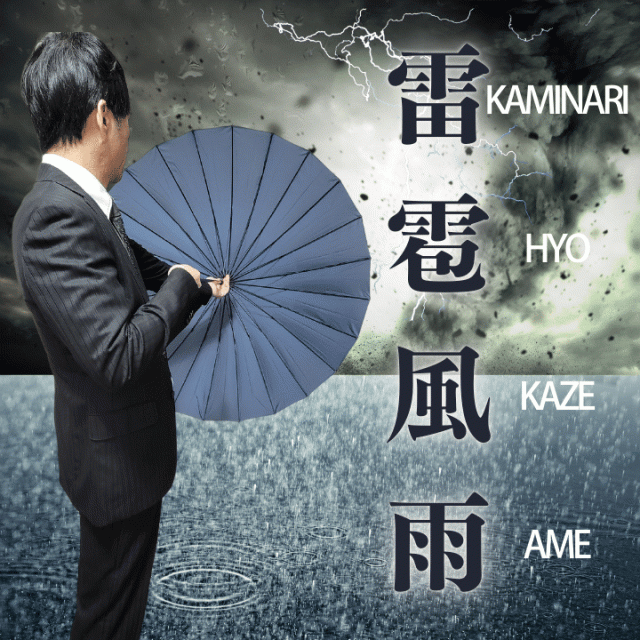 24本骨 手開き傘 耐風傘 グラスファイバー 軽量 頑丈 風に強い 男性 女性 メンズ レディース 人気 あっぷる本舗