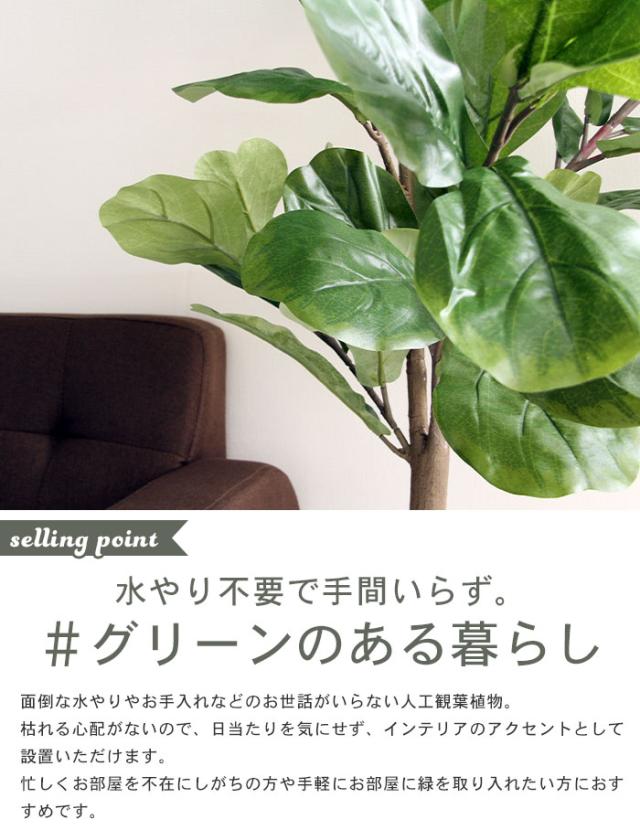 Web限定 人工 観葉植物 高さ 155cm 5号鉢対応 フェイクグリーン フィカス カシワゴム 人工 造花 カシワゴムの木 フェイク グリーン シンプル オフ 豪華 Prawasnow In